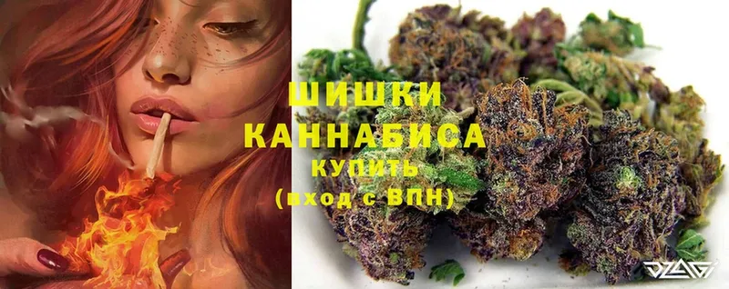 закладки  Белокуриха  Каннабис план 